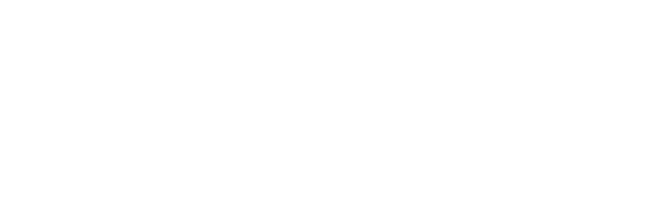 Vizum